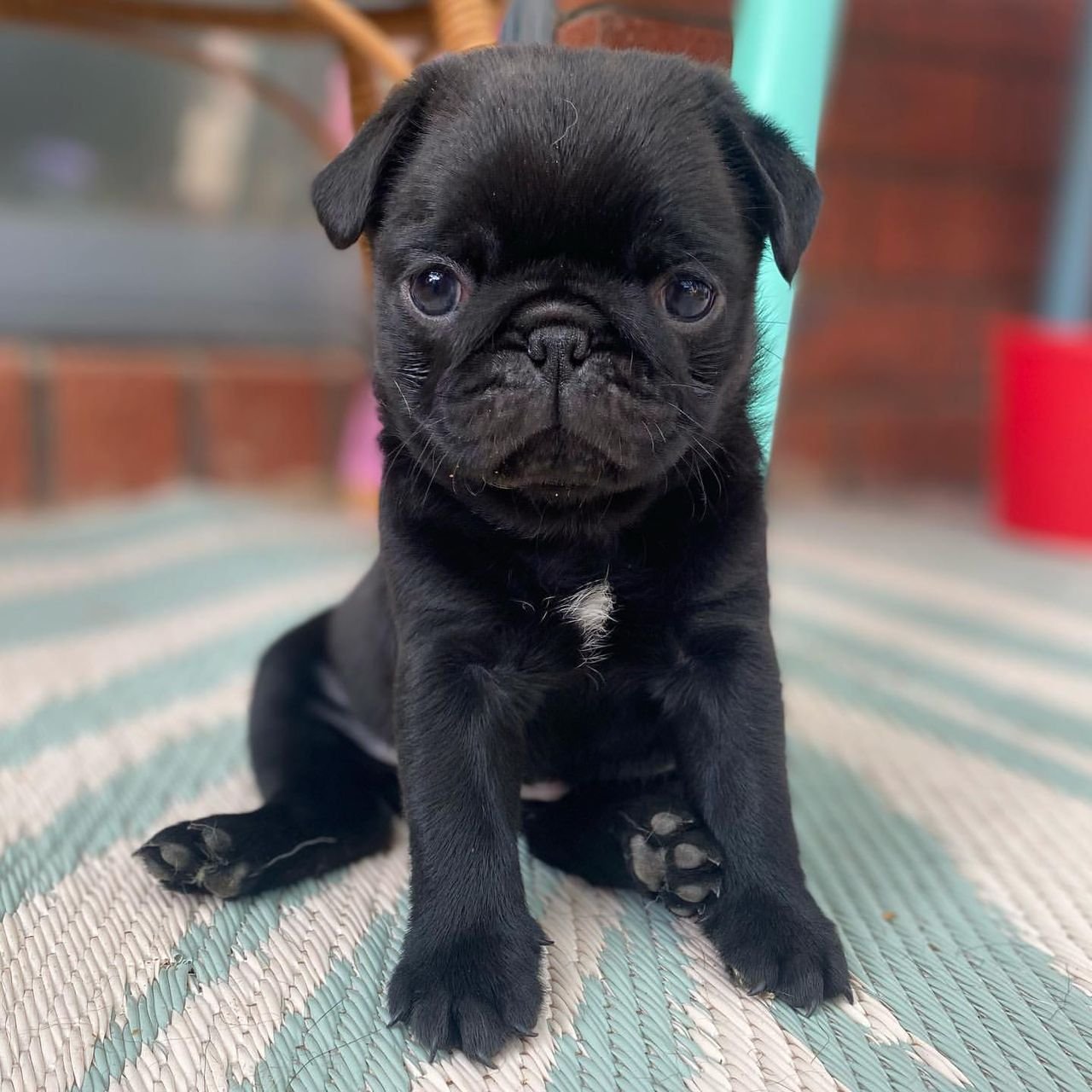 WhatsApp Image 2025-10-06 at 00.01.01