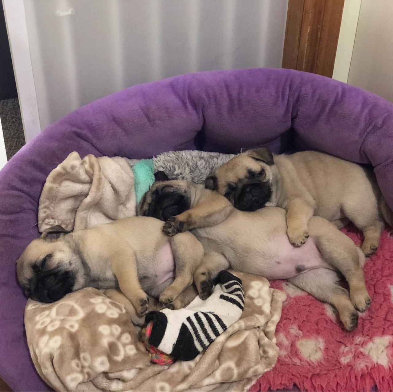 WhatsApp Image 2025-10-06 at 00.03.09 (2)