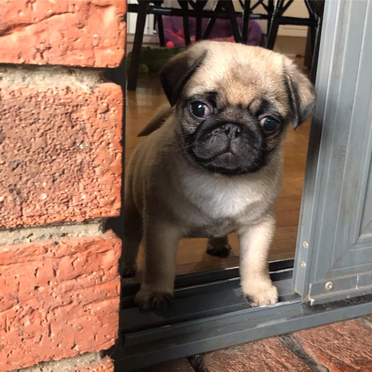 WhatsApp Image 2025-10-06 at 00.03.10