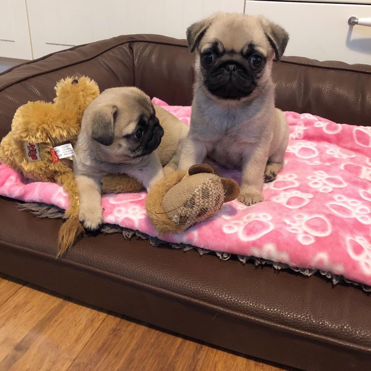 WhatsApp Image 2025-10-06 at 00.06.52 (1)