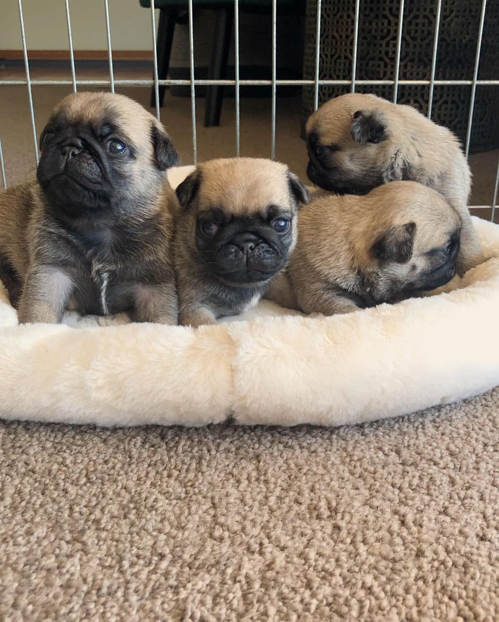 WhatsApp Image 2025-10-06 at 00.06.53