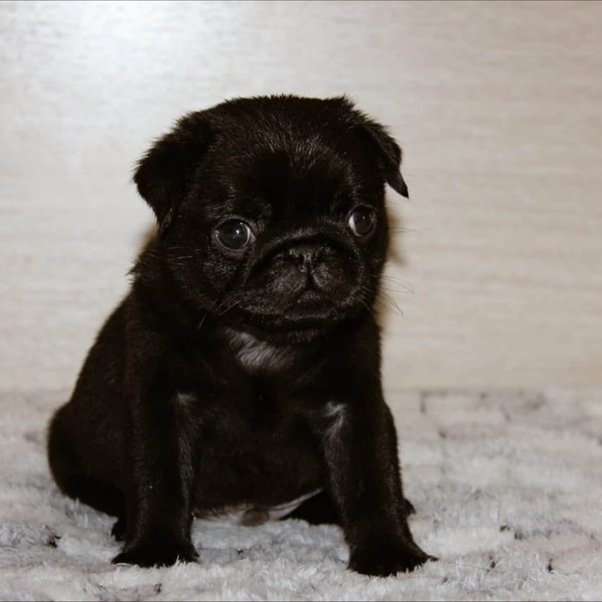 WhatsApp Image 2025-10-06 at 00.06.55 (1)