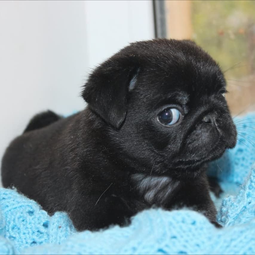 WhatsApp Image 2025-10-06 at 00.06.55 (4)