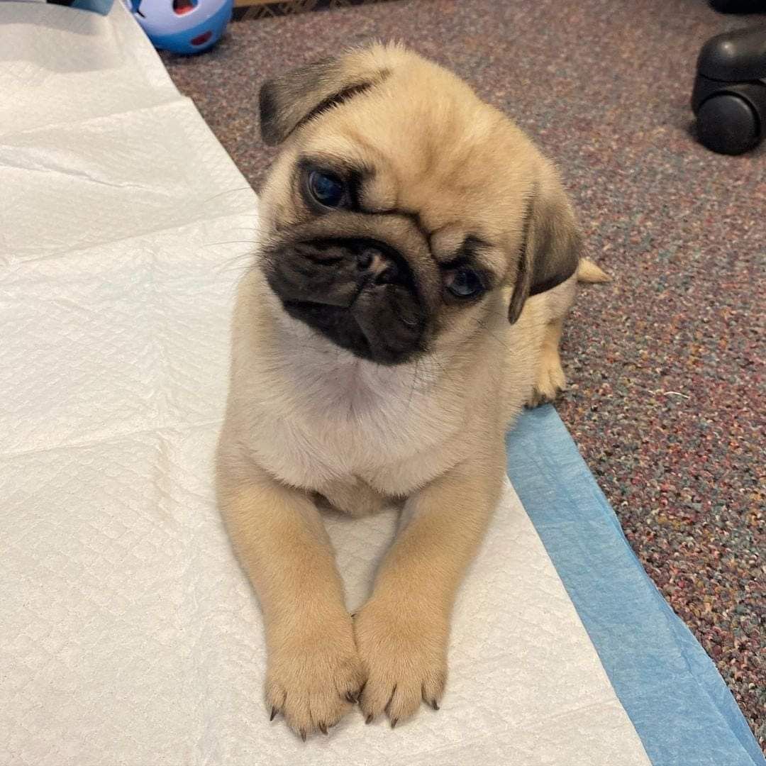 WhatsApp Image 2025-10-06 at 00.06.55 (5)