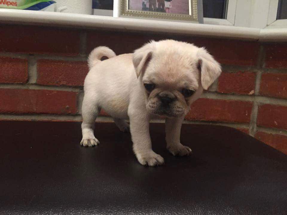 WhatsApp Image 2025-10-06 at 00.06.55