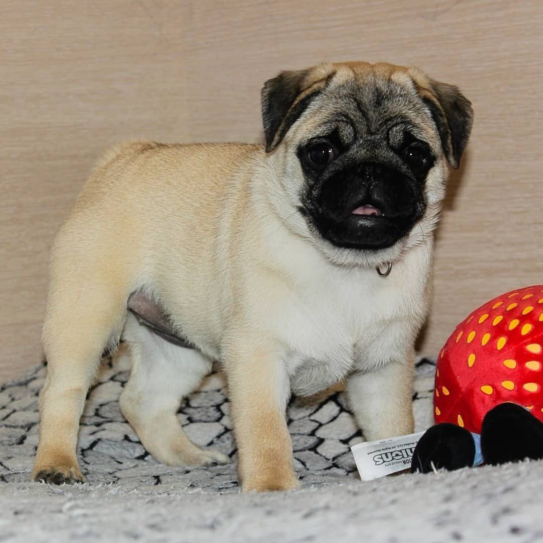 WhatsApp Image 2025-10-06 at 00.06.56 (1)