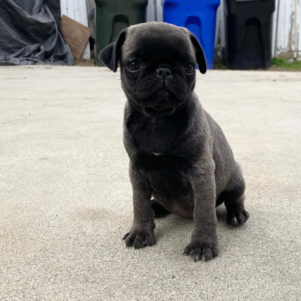 WhatsApp Image 2025-10-06 at 00.06.56 (3)