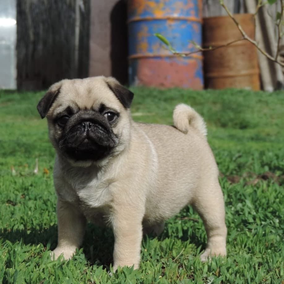 WhatsApp Image 2025-10-06 at 00.06.57 (2)