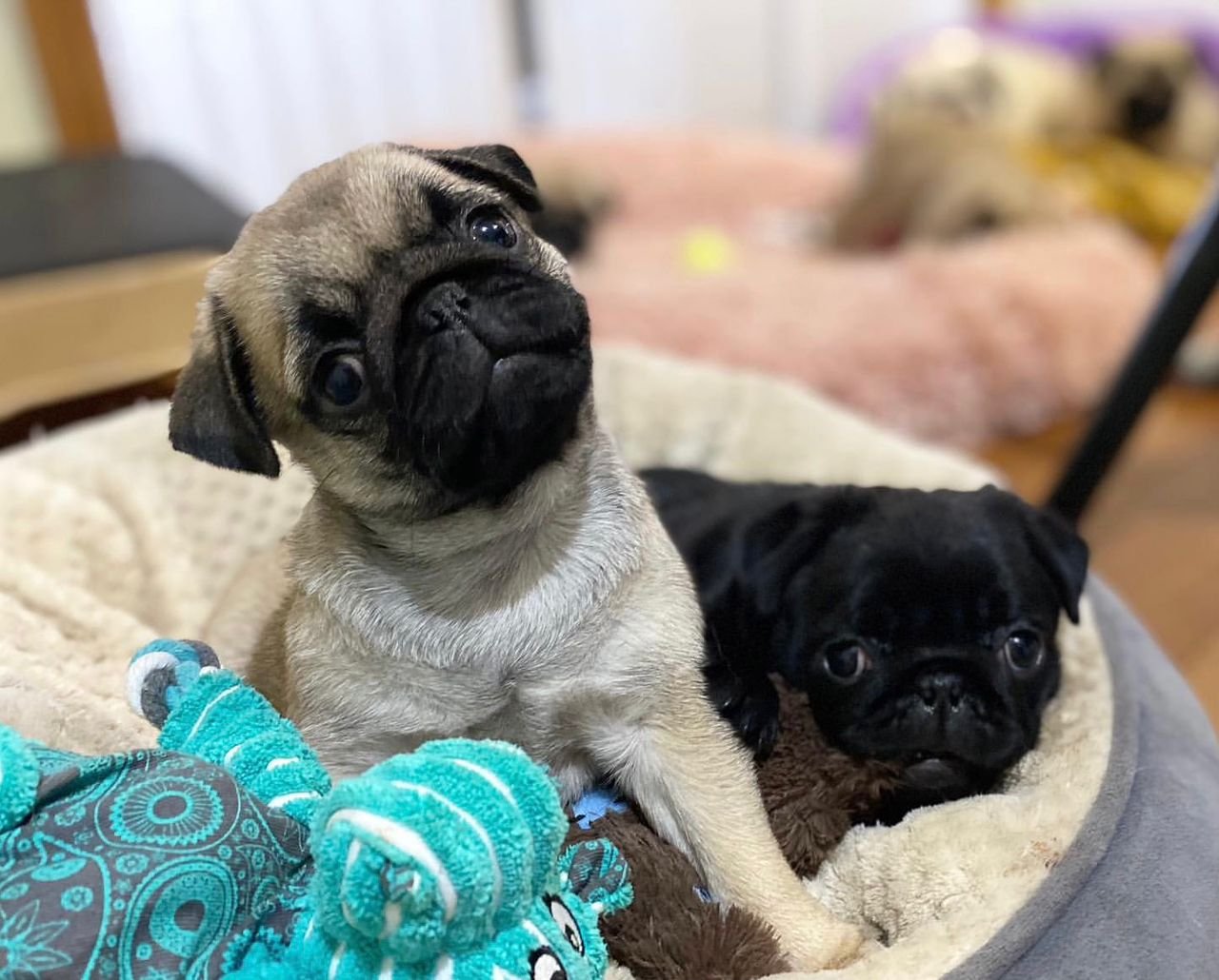 WhatsApp Image 2025-10-06 at 00.06.58 (1)