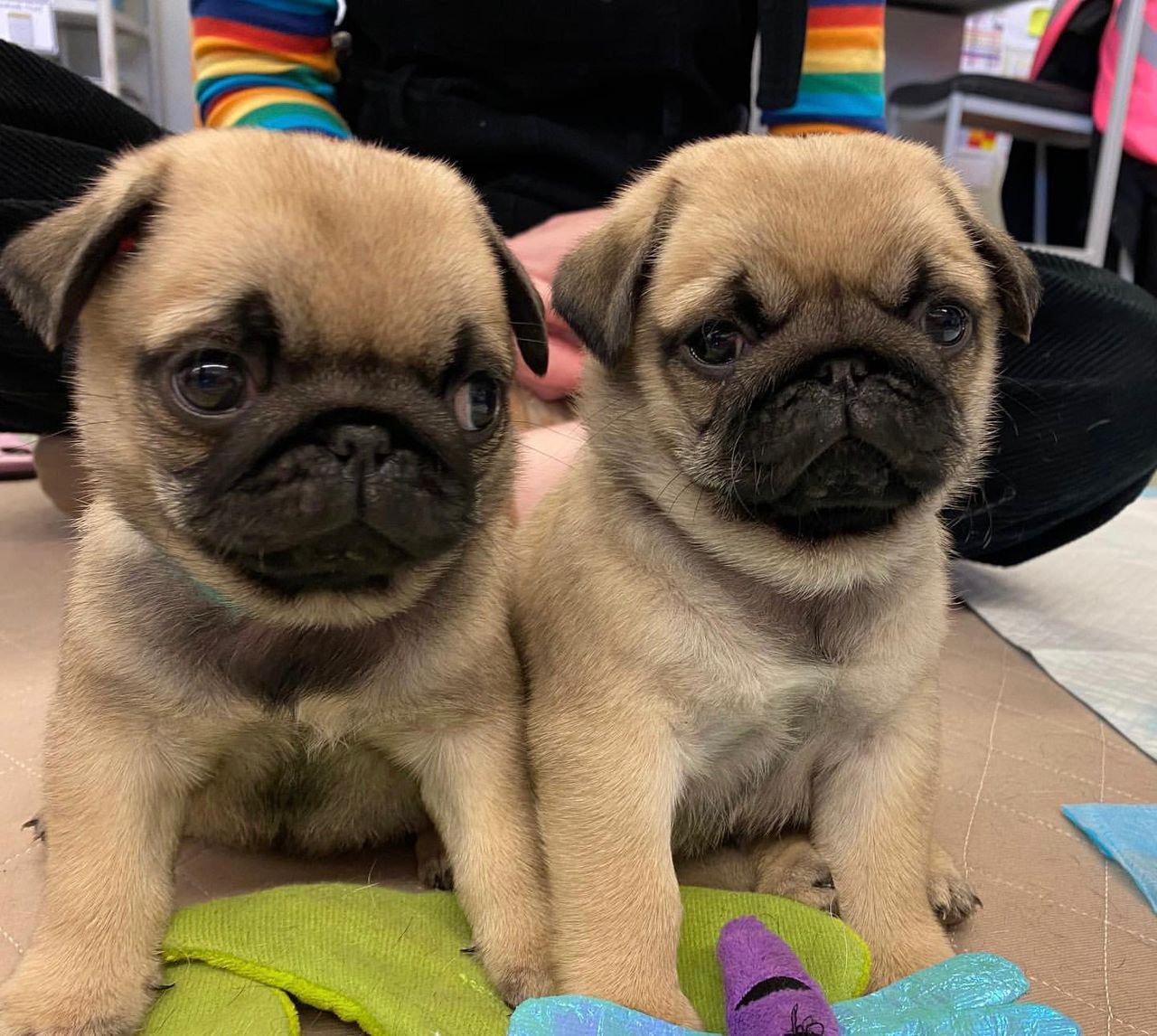 WhatsApp Image 2025-10-06 at 00.06.59