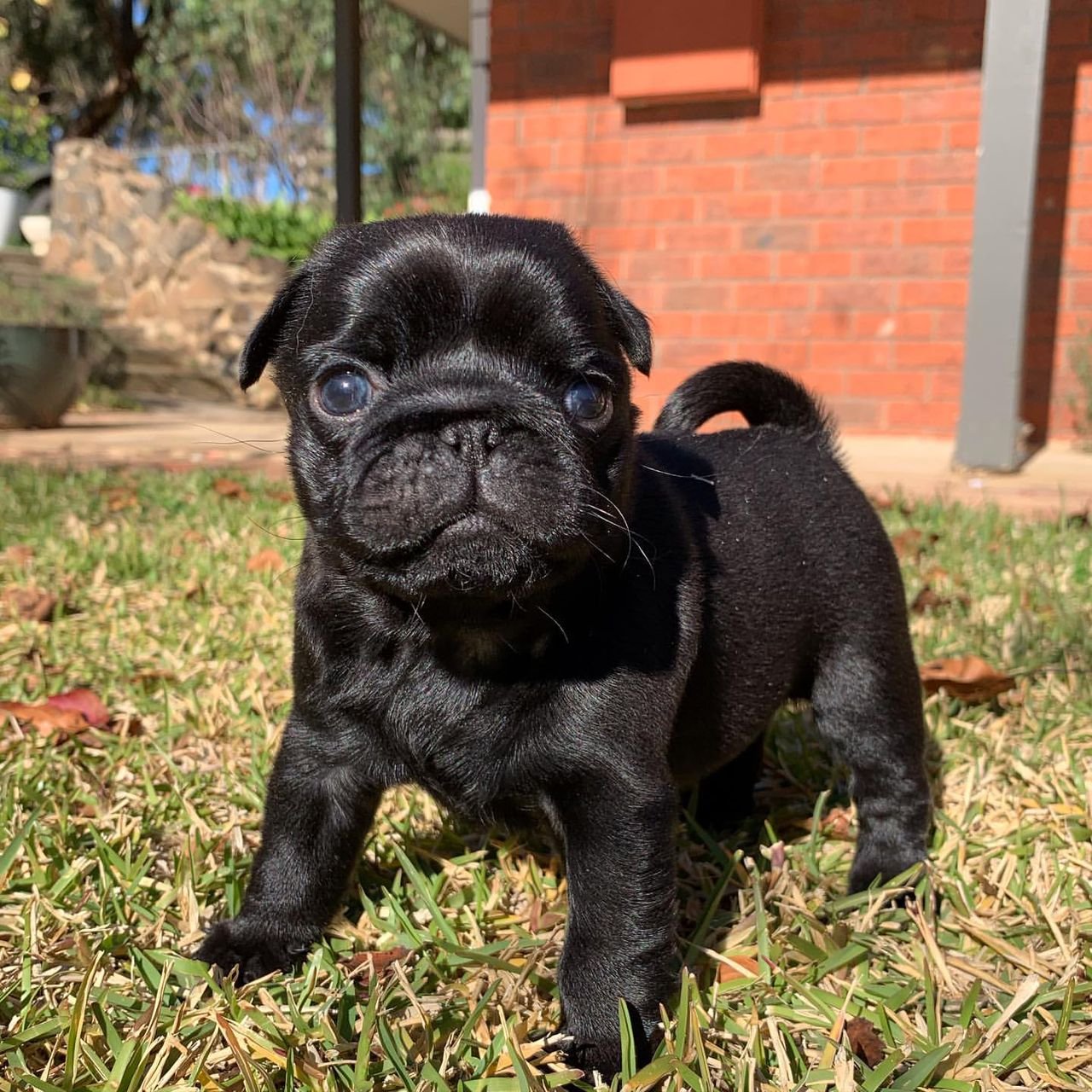 WhatsApp Image 2025-10-06 at 00.08.30 (1)