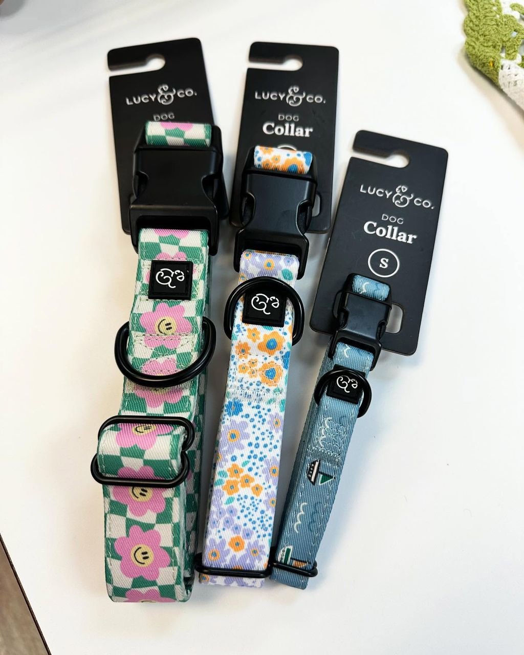 WhatsApp Image 2025-10-12 at 11.23.52 (1)