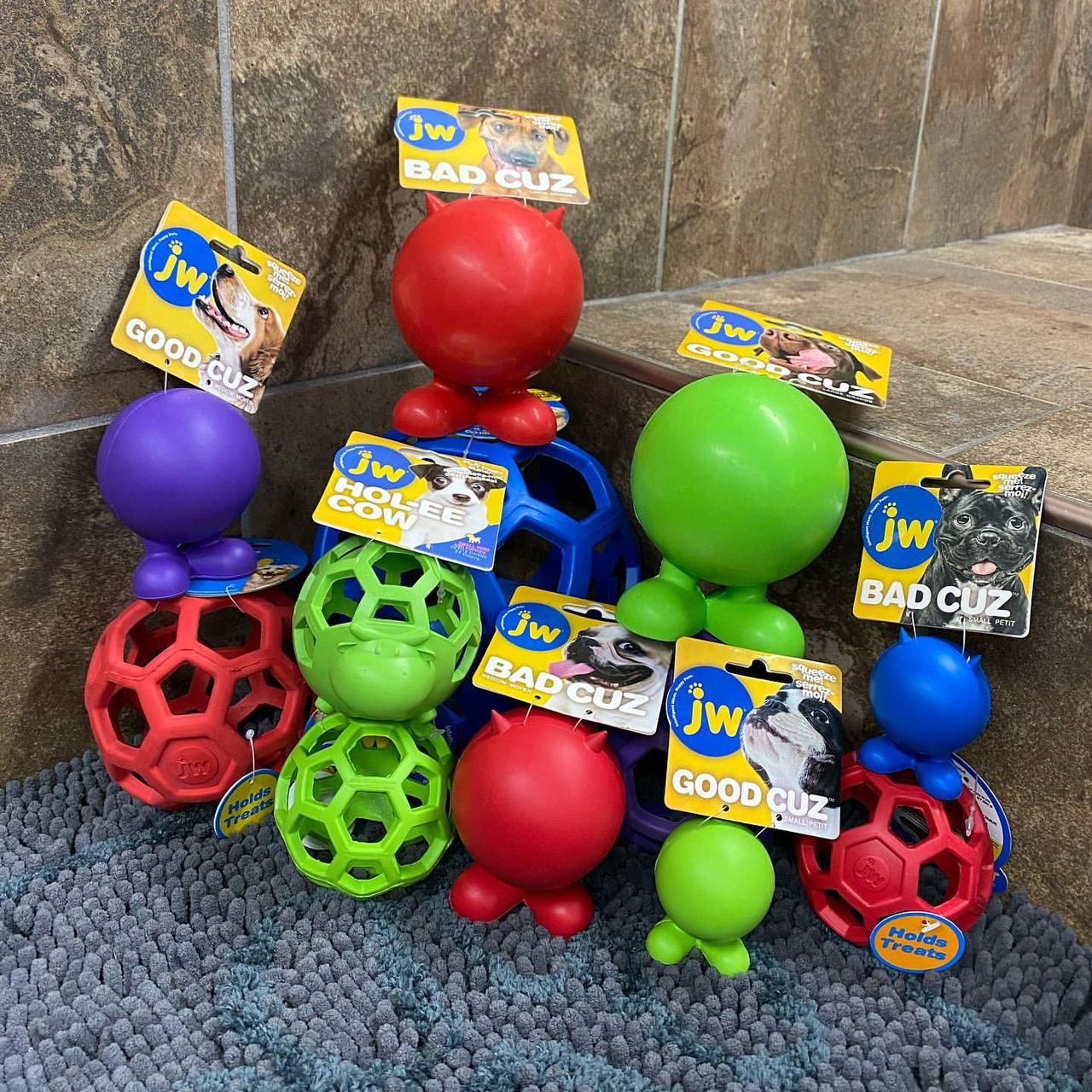 WhatsApp Image 2025-10-12 at 11.23.55