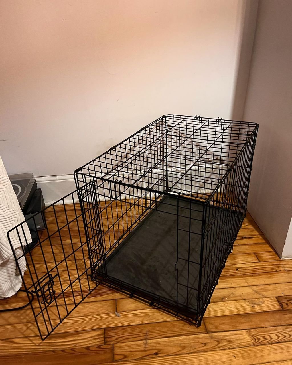 WhatsApp Image 2025-10-12 at 11.23.57 (1)