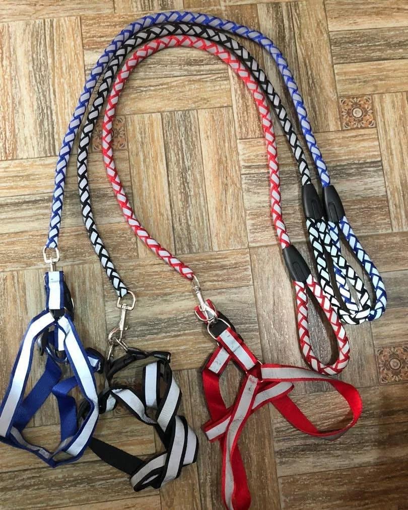 WhatsApp Image 2025-10-12 at 11.23.58 (2)