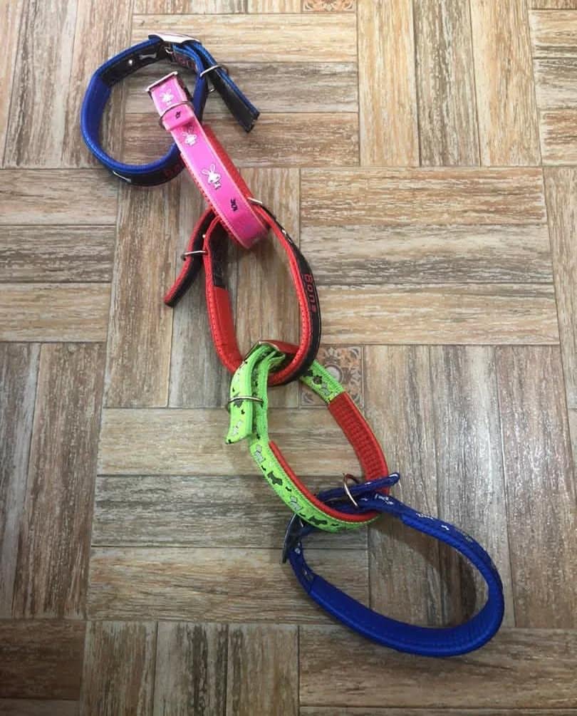 WhatsApp Image 2025-10-12 at 11.24.00 (1)