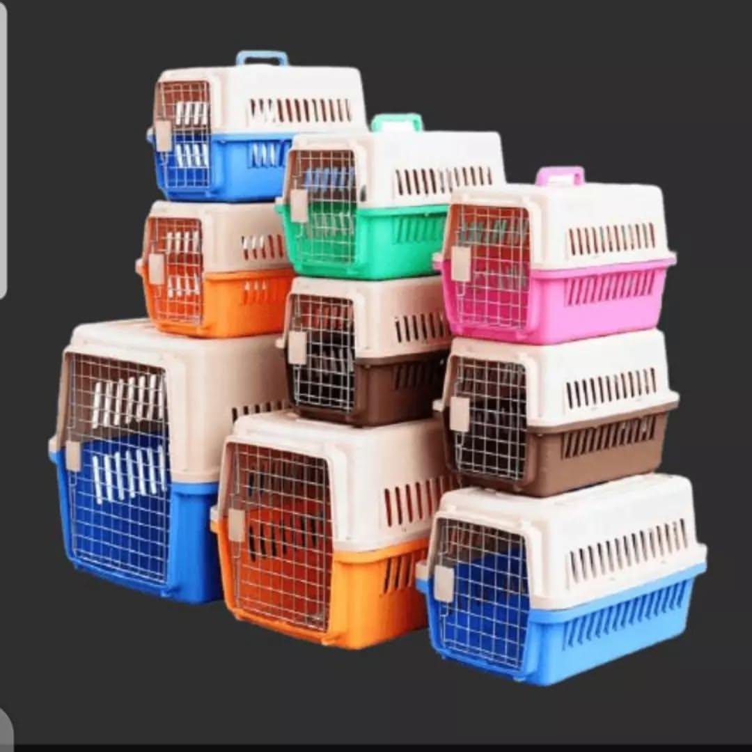 WhatsApp Image 2025-10-12 at 11.24.00