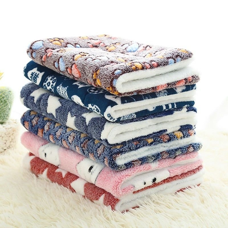 WhatsApp Image 2025-10-12 at 11.24.04 (1)