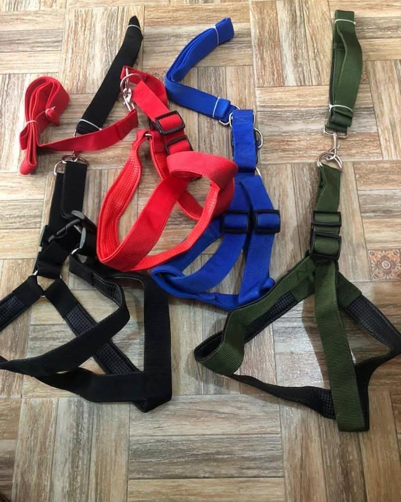 WhatsApp Image 2025-10-12 at 15.48.59